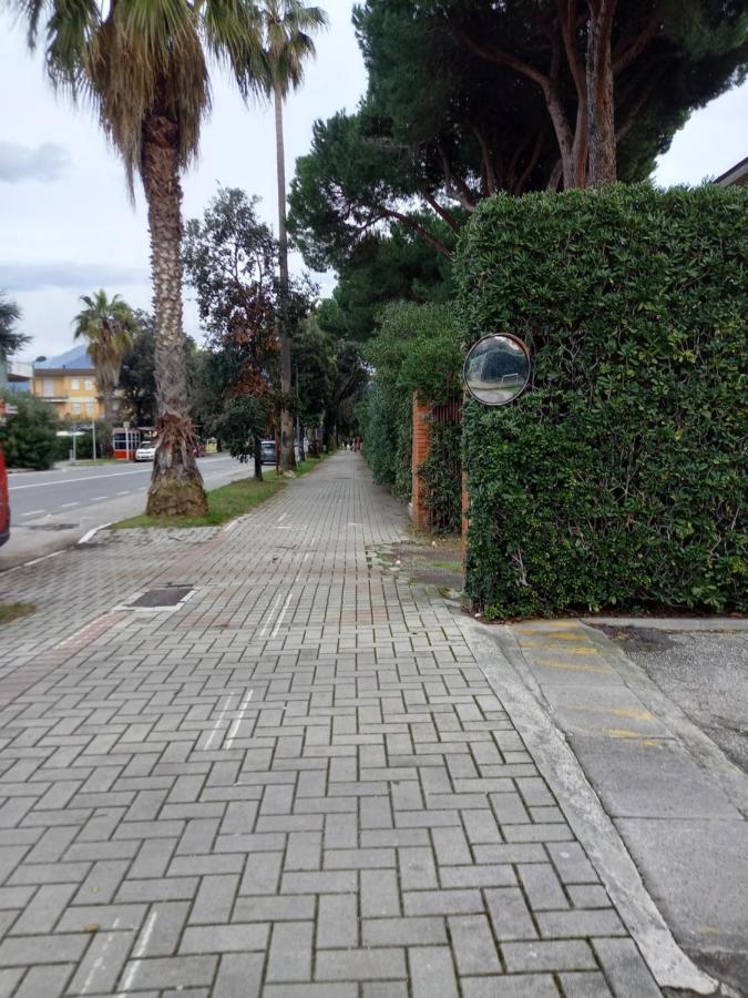 Bilocale Climatizzato A 850M Dalla Spiaggia Casa Katia Marina di Massa Exteriér fotografie