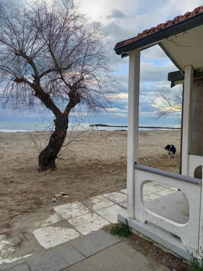 Bilocale Climatizzato A 850M Dalla Spiaggia Casa Katia Marina di Massa Exteriér fotografie